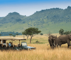 kenia masai mara 001.png