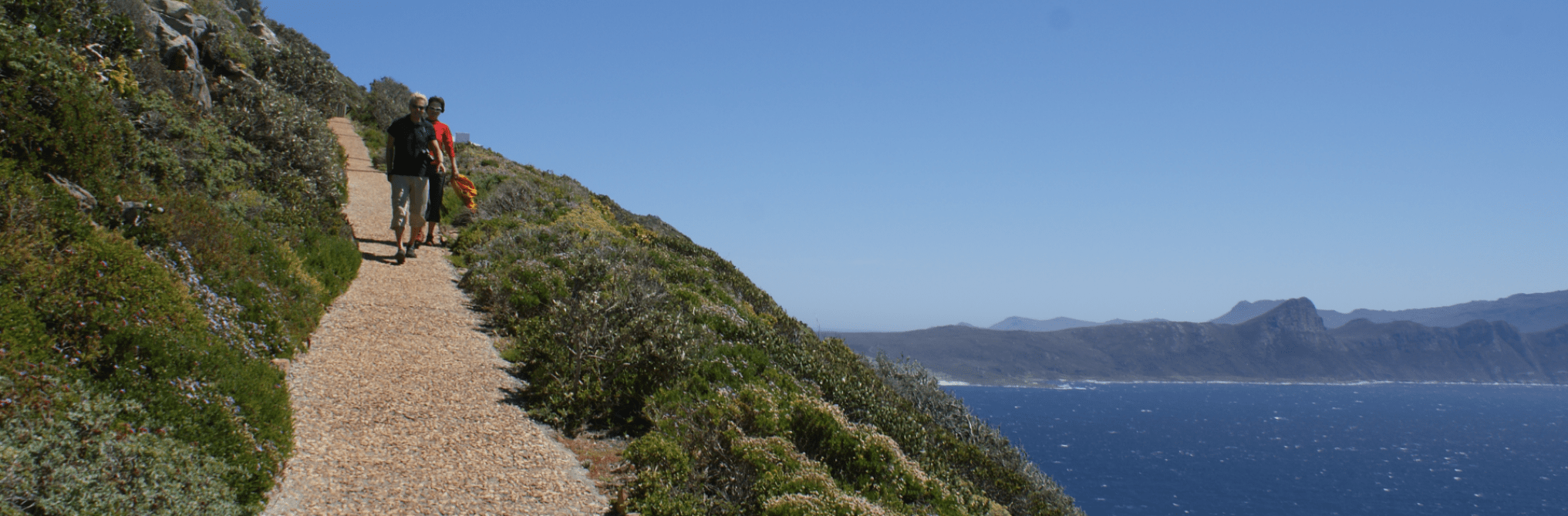 tsitsikamma national park wandelen